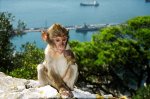 Gibraltar