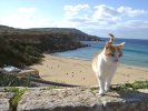 Malta