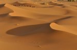 Desert