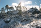 Serra da Estrela