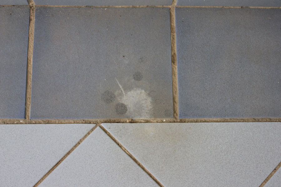 2021 09 22 0142 web